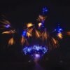 شراخيات المتعة لمناسبتك الخاصة